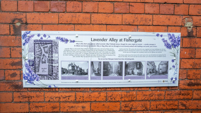 Lavender Alley