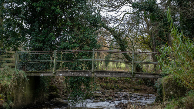 Steel & Concrete Bridge