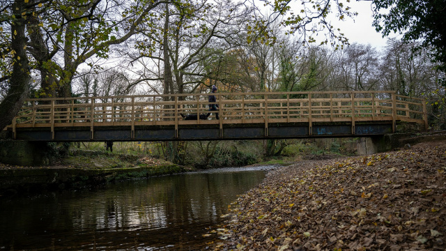 The Rustic Bridge
