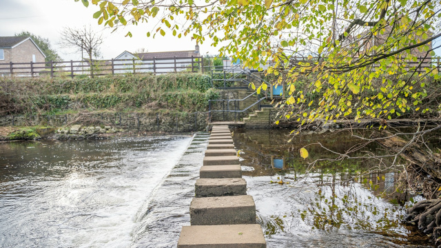 Stepping Stones